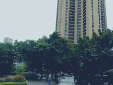 南坪 浪高亮阁一房30.9万