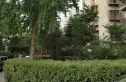南珠苑实景图