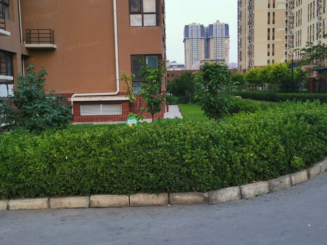 【石家庄东风小区小区,二手房,租房】- 石家庄房天下