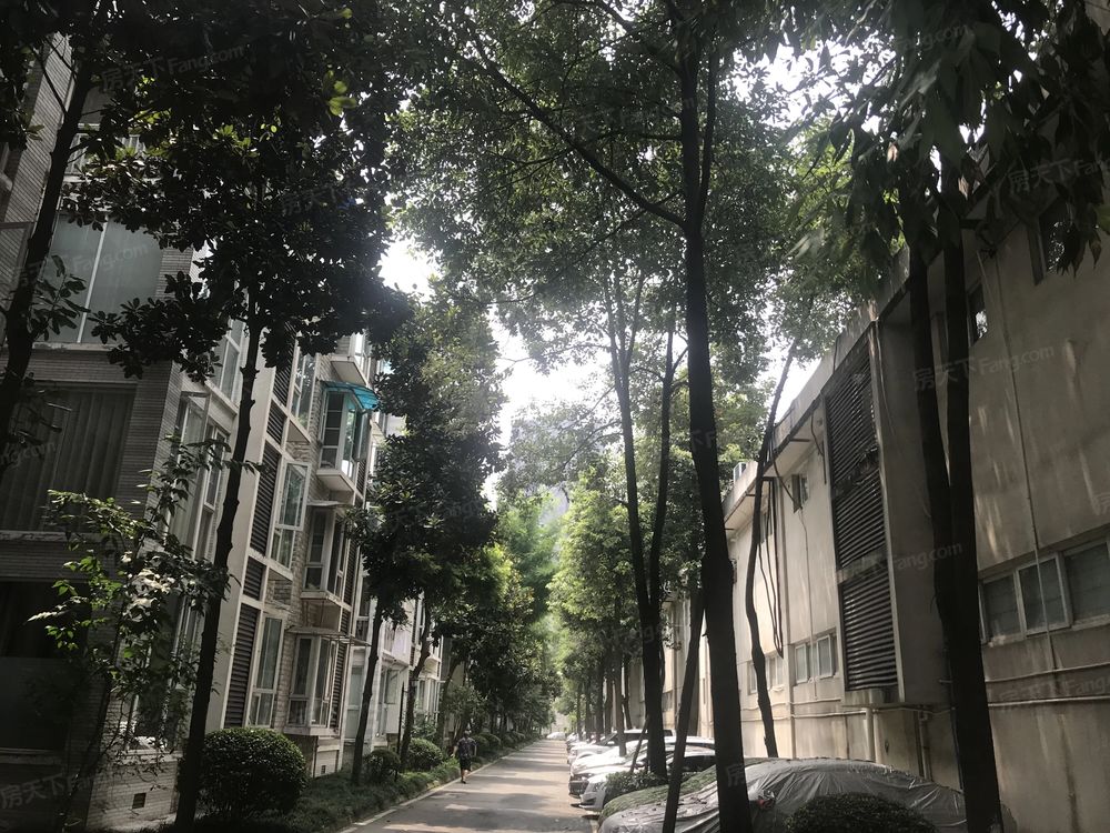 小区相关图