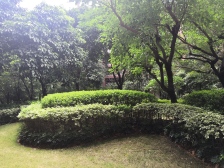 毛坯5房2卫.中间位置好.诚心出手.一梯一户.物业低