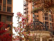 此房满二 精装修 楼层好 即买即入住 视野宽阔