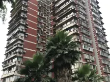 2号线动物园轻轨站,带露台花园,精装修