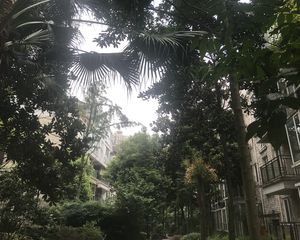 七彩花都A区4室1厅西南东北