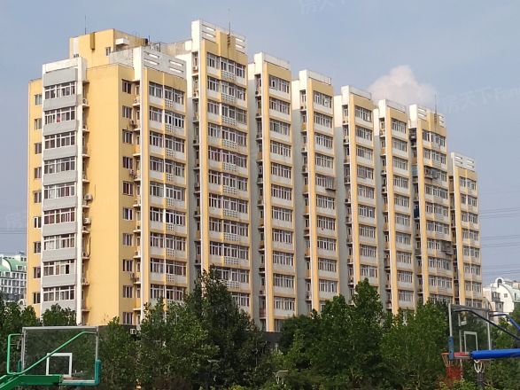 草桥欣园四区实景图