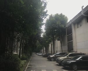 七彩花都A区4室2厅东南