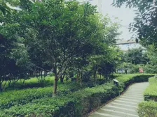 南坪 浪高韵阁一房24.5万