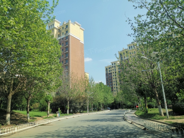 西棕榈滩实景图