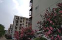 草桥欣园三区实景图