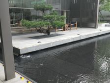 长江印4室2厅南