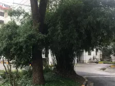 两南一北,有车位,看房有钥匙。诚心卖