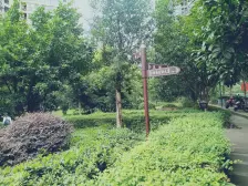 南坪 浪高亮阁一房27万