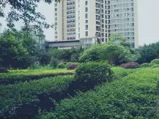 南坪 浪高韵阁一房35万