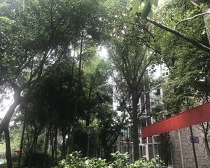 七彩花都B区一期2室1厅南北
