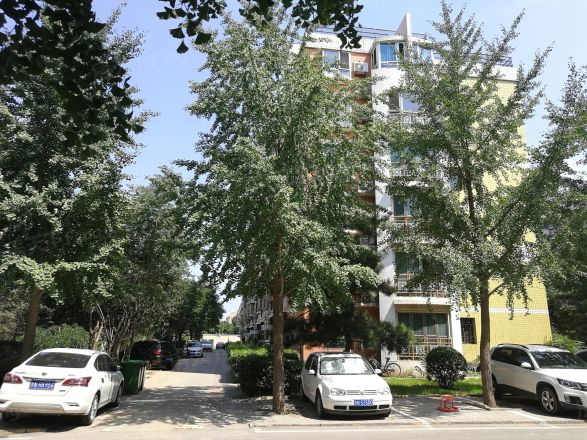 日光清城实景图
