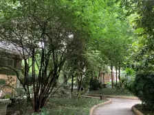 业主急售诚心出售,小区交通便利,小高层,生活成熟。