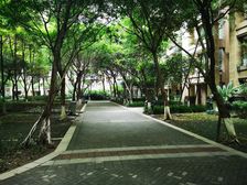 橙郡二期 1室1厅 西南