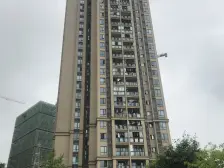 此房视野开阔,清水两房,楼层适中,看房方便视野开阔