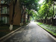 橙郡二期 3室2厅 南