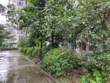 石坪桥保利旁 商品房 出行方便 楼下车站 四通八达