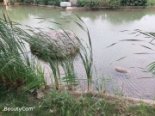 亚龙湾东湖小区实景