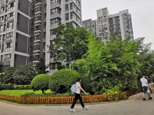 河医200米 花园式社区 多层步梯 温馨一室