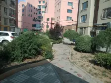 职高西小区 两室两厅 精装修没住过 有仓房