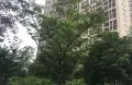 房源图片
