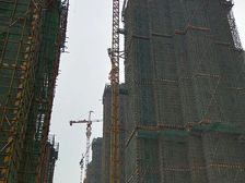 骧龙国际景秀园C区 5室3厅 南