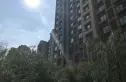 首开国风美仑实景图