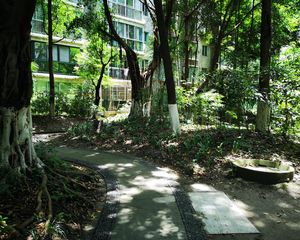 西区花园晨之曦 2室2厅 西南