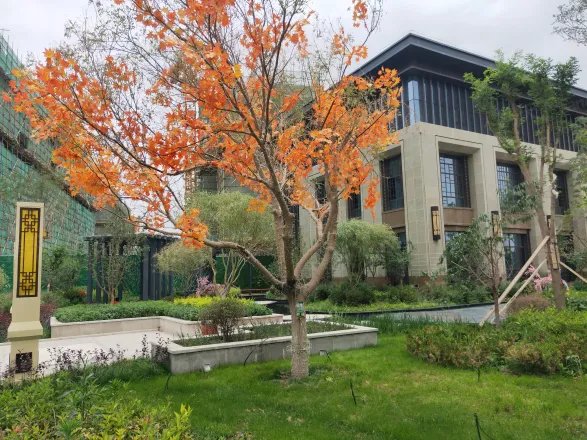 千城·柏悦湾二期