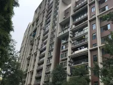 正看高尔夫球场,视野开阔无遮挡