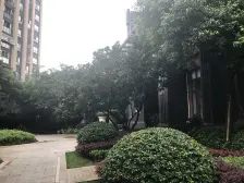 视野一览无余,视野舒服,住家装修的房子