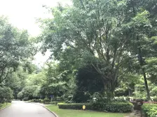 汽博中心 保利高尔夫公馆三房205万