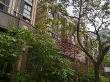 真如低密度社区、人车分流、物业满意度好