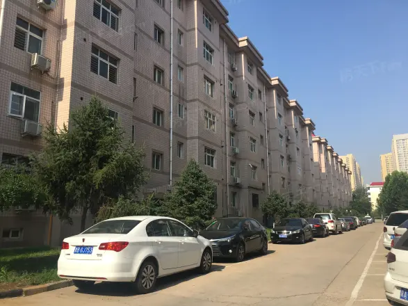 卓达玫瑰园实景图