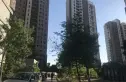 首创国际城实景图