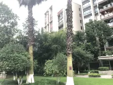 一线高尔夫球场视野,空中别墅六房带露台100平花园