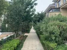 双拼别墅+业主就是想卖+有钥匙+啥都有+随时看房子