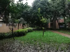 靠河边风景好!视野无遮挡!带电梯!全明户型!看中好谈