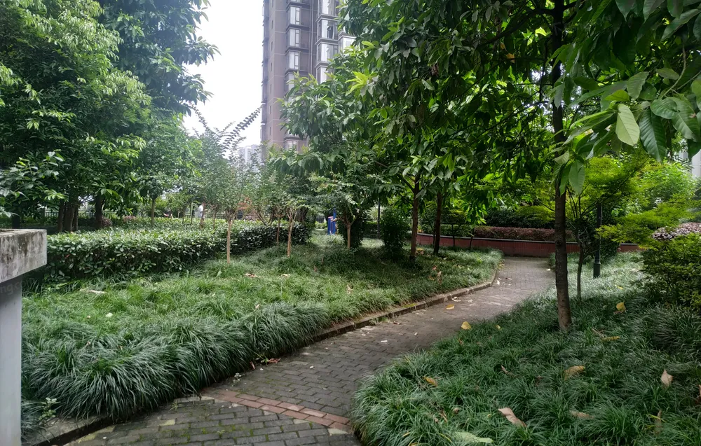 小区租房,二室一厅,巴国城精装2房出租 拎包入住 看房随时欢迎,重庆