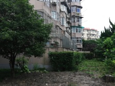 梅陇十一村 3室1厅 南 北