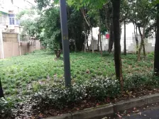 梅陇五村河景全明精装修2房