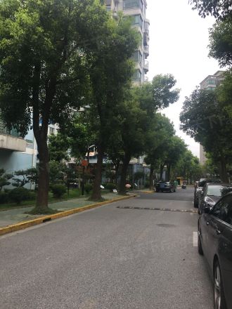 宝业馨康苑实景图