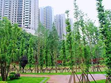 渔龙半湾,只有契税,集中供暖,地铁口。