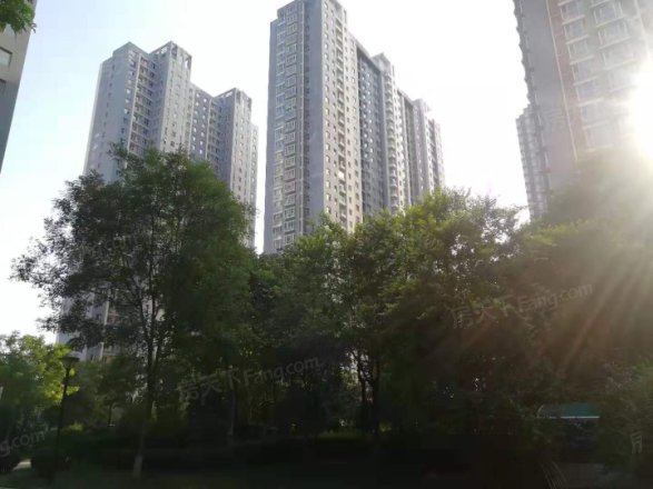 西部枫景实景图