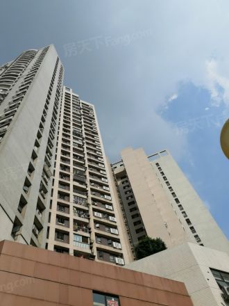 东圃广场实景图