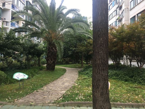 宝业馨康苑实景图