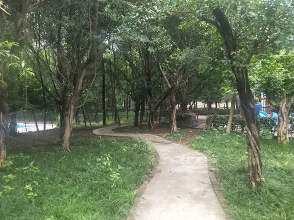 渝安金港尚城实景图